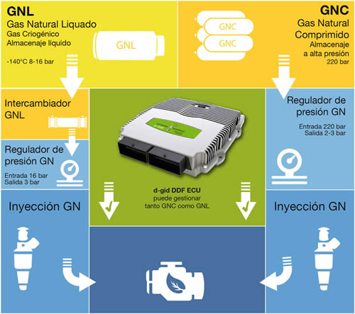 Vídeo instalación del sistema Dual Fuel en un vehículo pesado